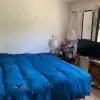 Casa De 3 Dormitorios, Con Gran Patio Y Arboles Nativos