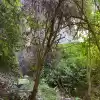 Casa De 3 Dormitorios, Con Gran Patio Y Arboles Nativos