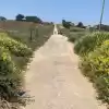 Parcela A Metros De La Playa De Pichilemu