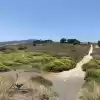 Parcela A Metros De La Playa De Pichilemu