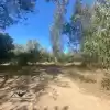 Parcela Semi Plana Con Arboles Nativos