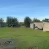 Parcela De 20.000 M2 Rol Propio Con Arboles Frutales Como Paltos, Nogales, Etc