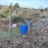 Parcela De 20.000 M2 Rol Propio Con Arboles Frutales Como Paltos, Nogales, Etc