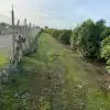 Parcela De 20.000 M2 Rol Propio Con Arboles Frutales Como Paltos, Nogales, Etc