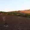 Parcela Plana Con Rol Propio En Camino Las Viñas, Santo Domingo
