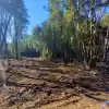 Vendo Parcela Villarrica