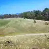 Venta De Terreno Ubicado En Sector La Orilla, Cobquecura.